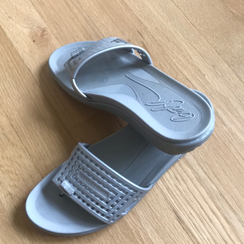 Gray/Silver Slides - image 1